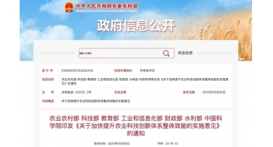 行業動態